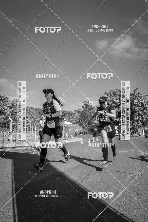 Buy your photos of the eventWolf Series - Botucatu on Fotop