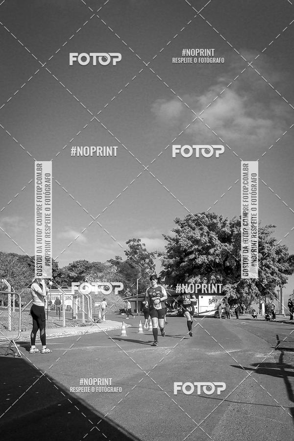 Buy your photos of the eventWolf Series - Botucatu on Fotop