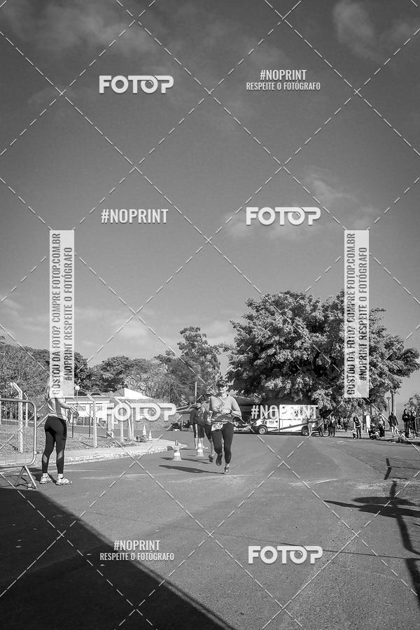 Buy your photos of the eventWolf Series - Botucatu on Fotop