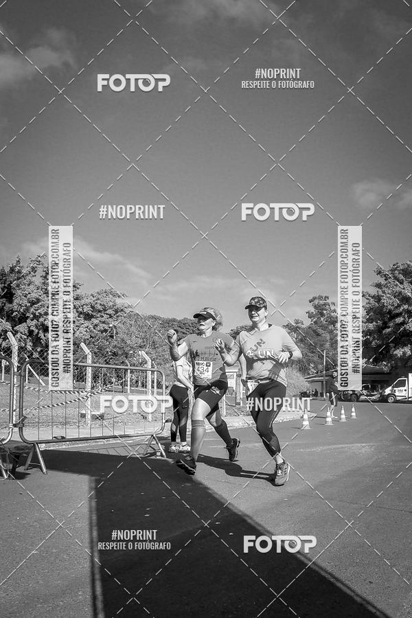 Buy your photos of the eventWolf Series - Botucatu on Fotop