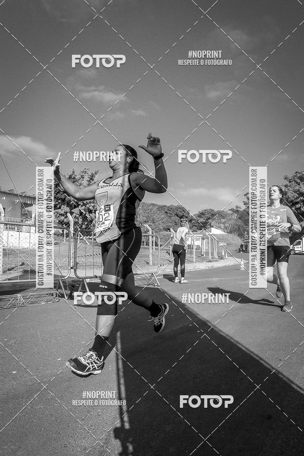 Buy your photos of the eventWolf Series - Botucatu on Fotop