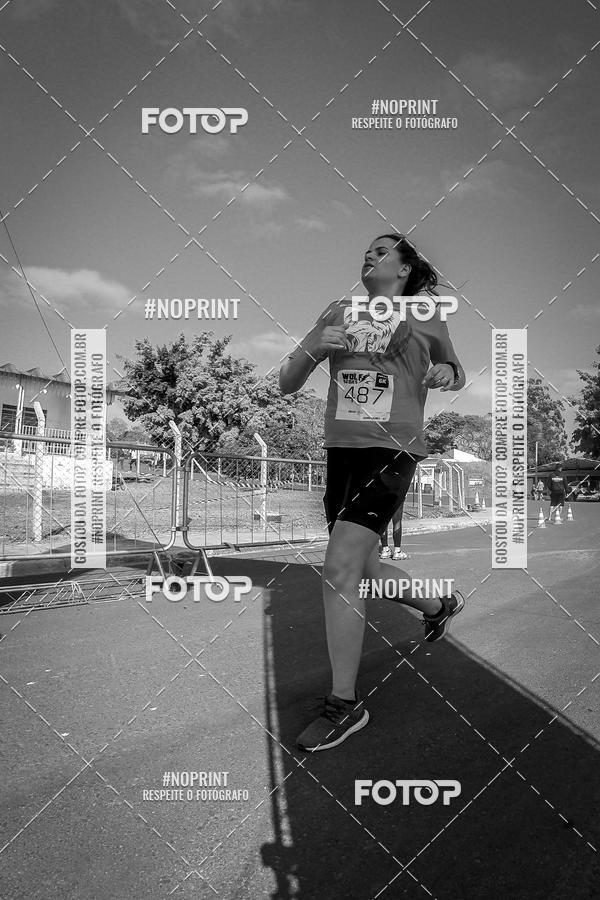 Buy your photos of the eventWolf Series - Botucatu on Fotop