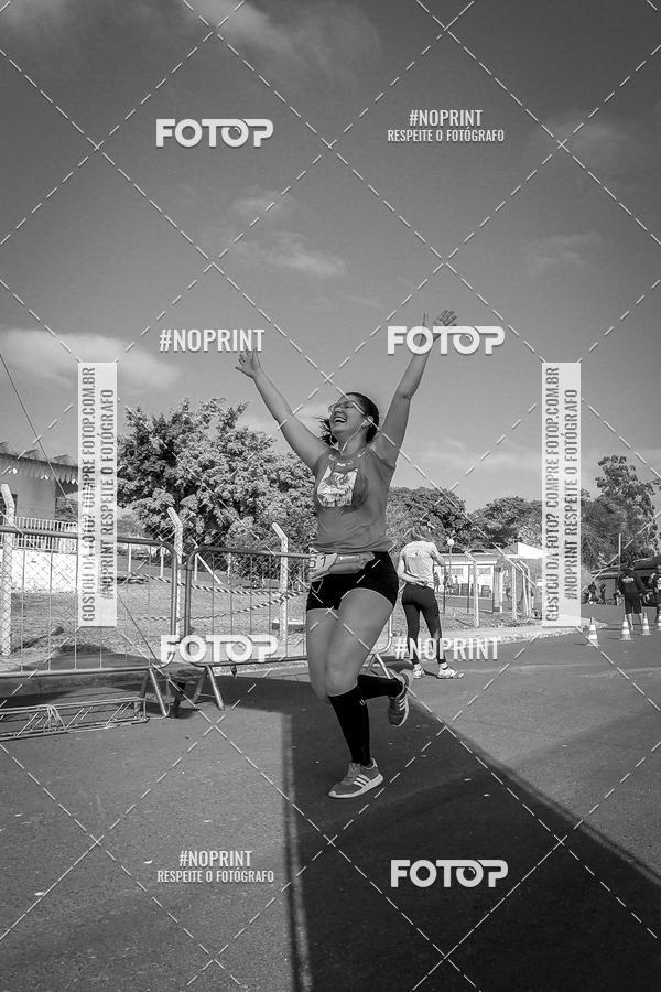 Buy your photos of the eventWolf Series - Botucatu on Fotop