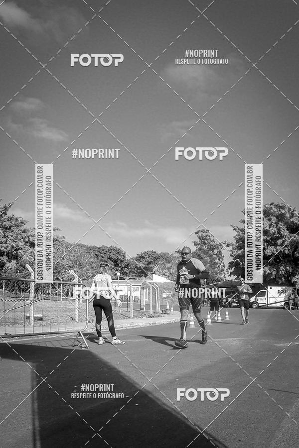 Buy your photos of the eventWolf Series - Botucatu on Fotop