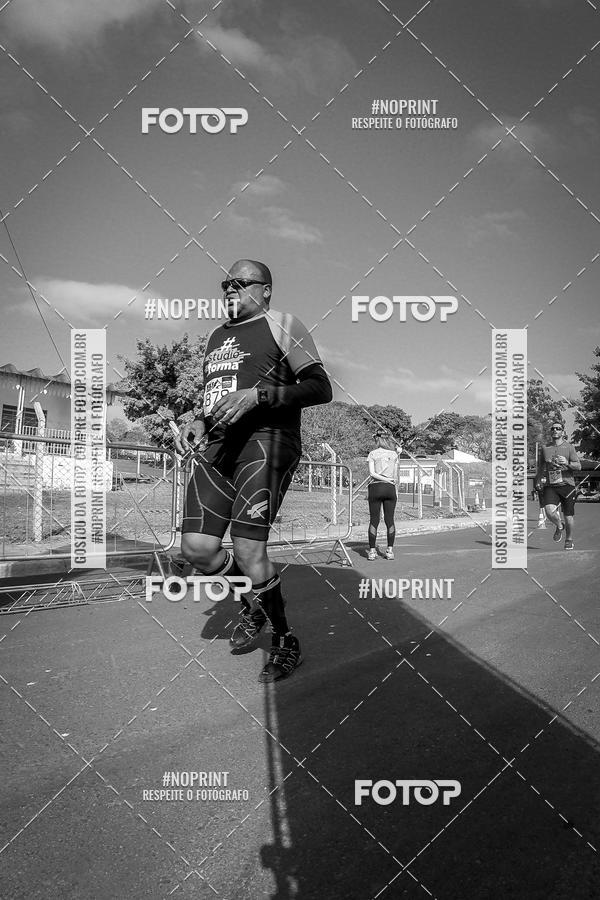 Buy your photos of the eventWolf Series - Botucatu on Fotop