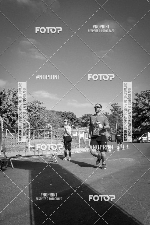 Buy your photos of the eventWolf Series - Botucatu on Fotop