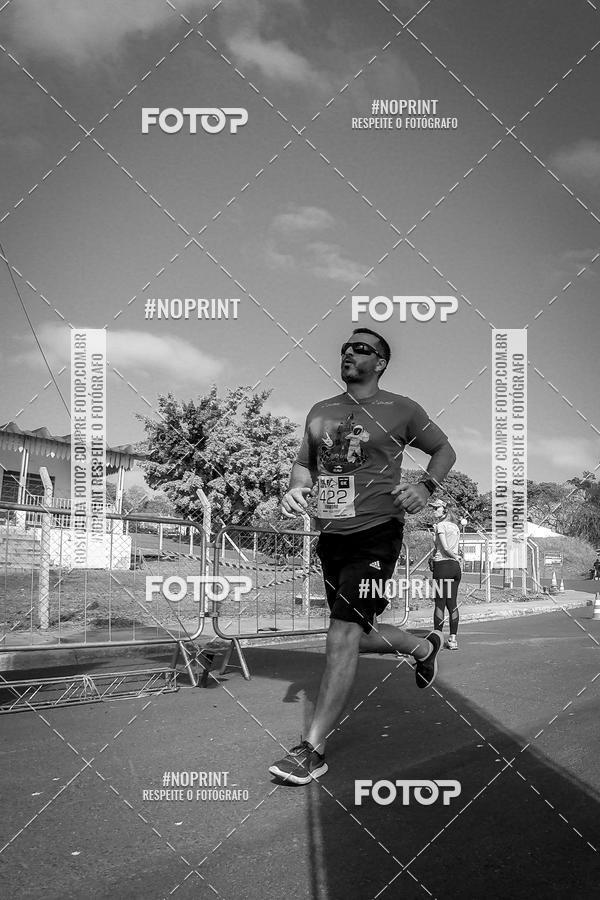 Buy your photos of the eventWolf Series - Botucatu on Fotop