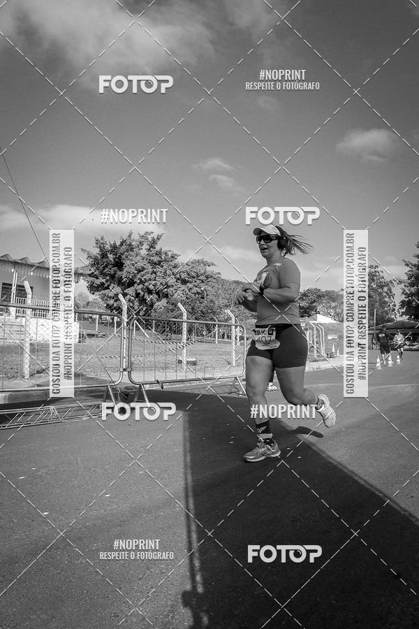 Buy your photos of the eventWolf Series - Botucatu on Fotop