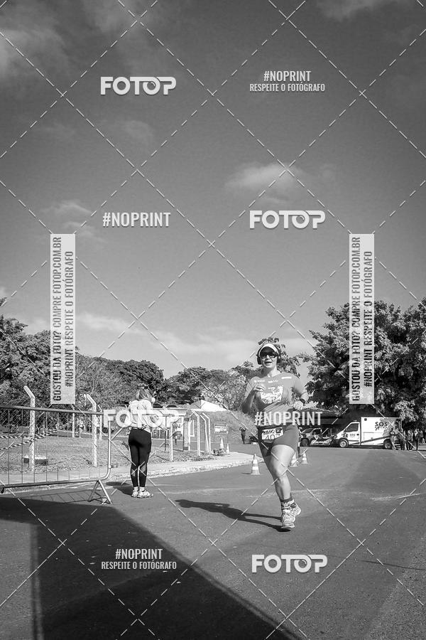 Buy your photos of the eventWolf Series - Botucatu on Fotop