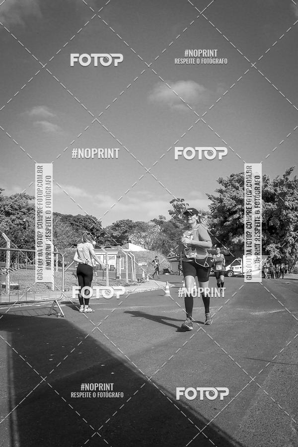 Buy your photos of the eventWolf Series - Botucatu on Fotop