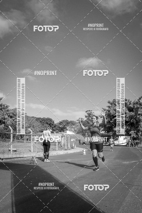 Buy your photos of the eventWolf Series - Botucatu on Fotop
