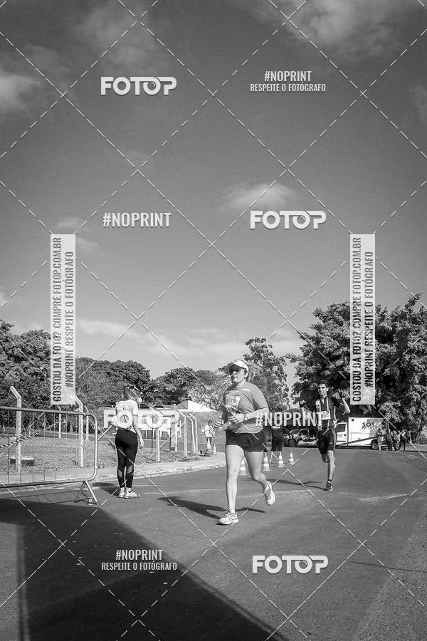 Buy your photos of the eventWolf Series - Botucatu on Fotop
