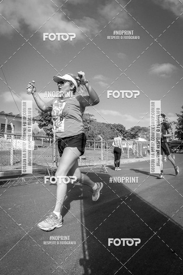 Buy your photos of the eventWolf Series - Botucatu on Fotop