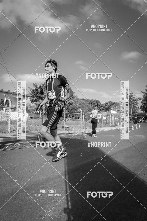 Buy your photos of the eventWolf Series - Botucatu on Fotop