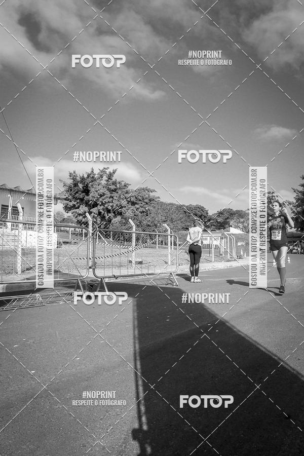 Buy your photos of the eventWolf Series - Botucatu on Fotop