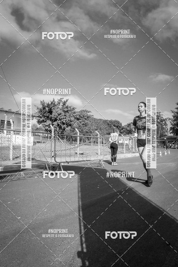 Buy your photos of the eventWolf Series - Botucatu on Fotop