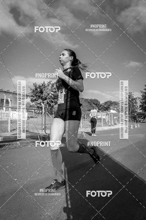 Buy your photos of the eventWolf Series - Botucatu on Fotop