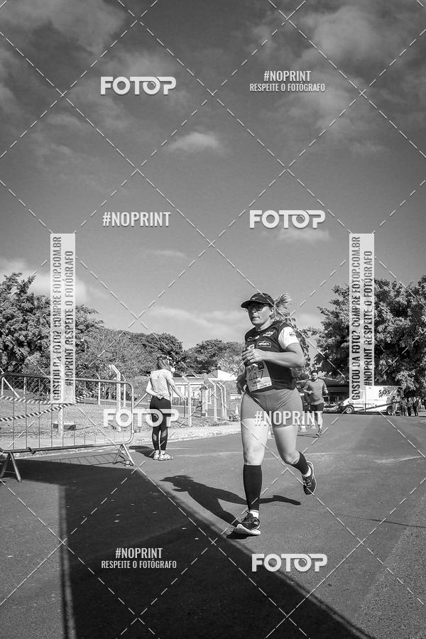 Buy your photos of the eventWolf Series - Botucatu on Fotop