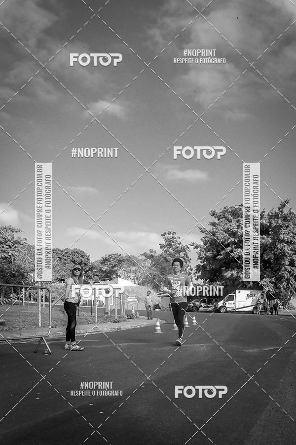 Buy your photos of the eventWolf Series - Botucatu on Fotop