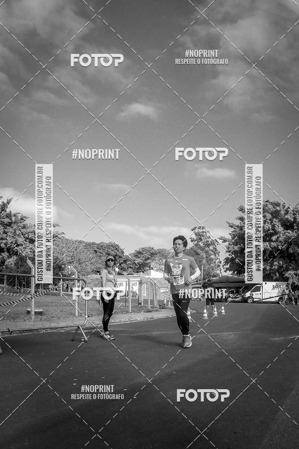 Buy your photos of the eventWolf Series - Botucatu on Fotop