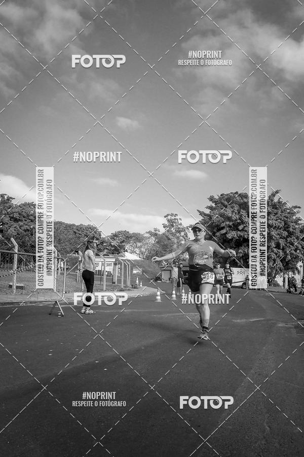 Buy your photos of the eventWolf Series - Botucatu on Fotop