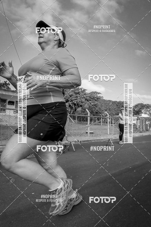 Buy your photos of the eventWolf Series - Botucatu on Fotop