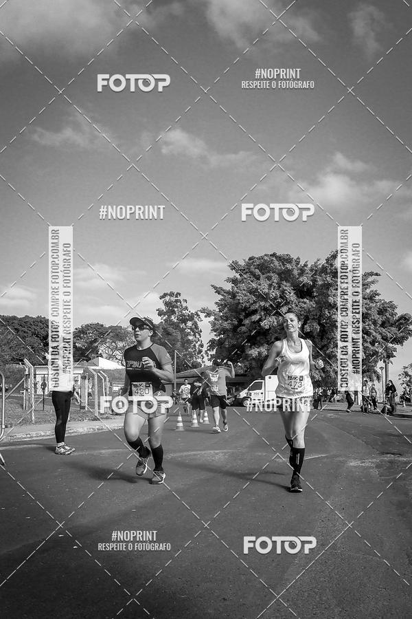 Buy your photos of the eventWolf Series - Botucatu on Fotop