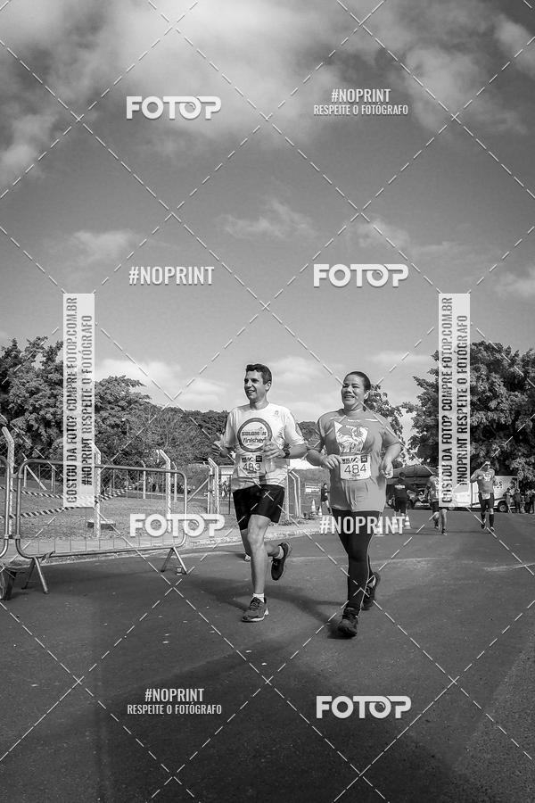 Buy your photos of the eventWolf Series - Botucatu on Fotop