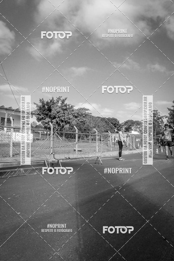 Buy your photos of the eventWolf Series - Botucatu on Fotop