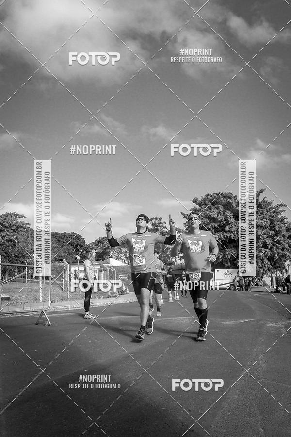 Buy your photos of the eventWolf Series - Botucatu on Fotop