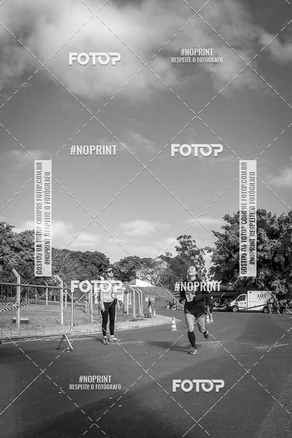 Buy your photos of the eventWolf Series - Botucatu on Fotop