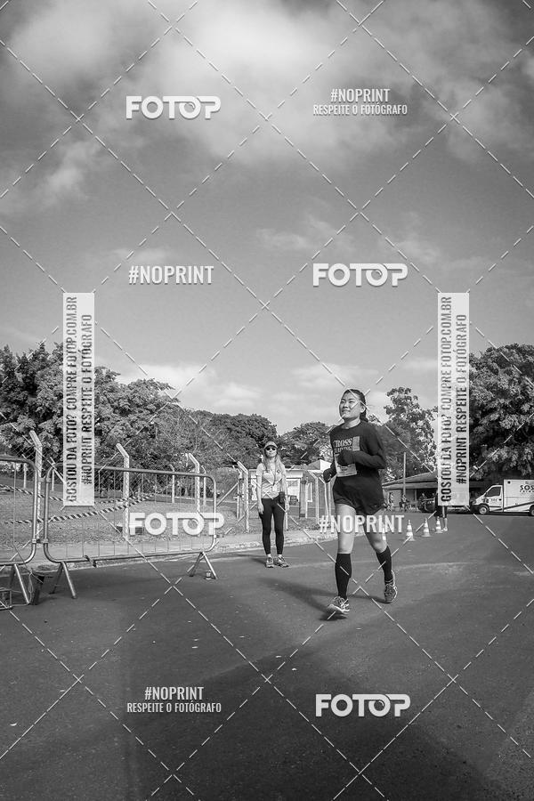 Buy your photos of the eventWolf Series - Botucatu on Fotop