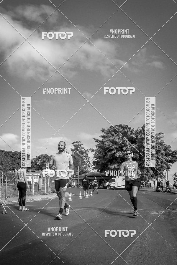 Buy your photos of the eventWolf Series - Botucatu on Fotop