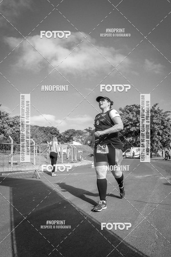 Buy your photos of the eventWolf Series - Botucatu on Fotop