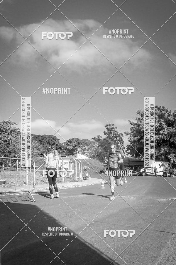 Buy your photos of the eventWolf Series - Botucatu on Fotop