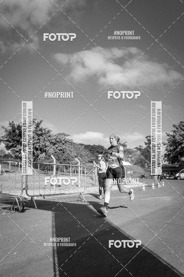 Buy your photos of the eventWolf Series - Botucatu on Fotop