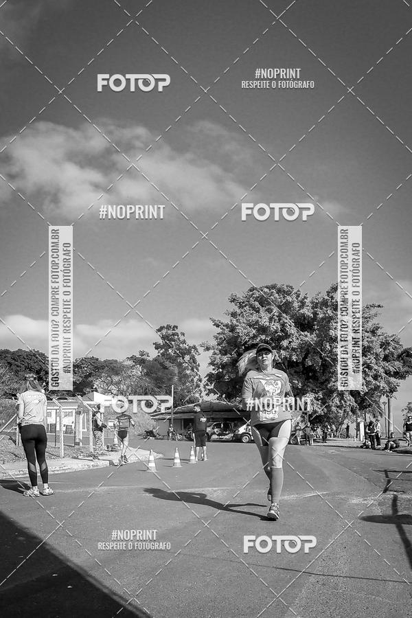 Buy your photos of the eventWolf Series - Botucatu on Fotop