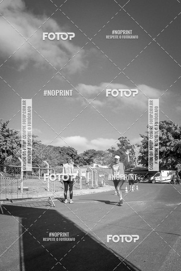 Buy your photos of the eventWolf Series - Botucatu on Fotop