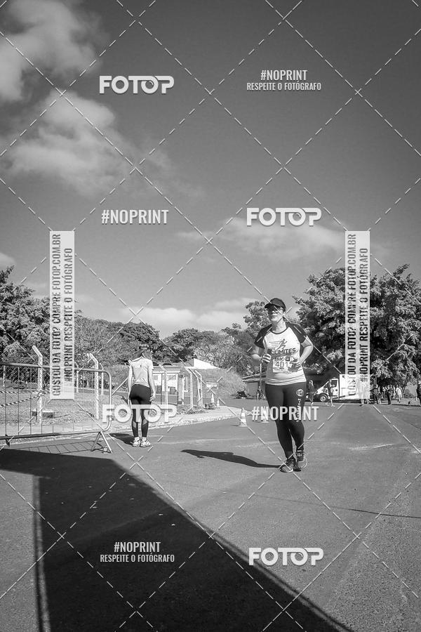 Buy your photos of the eventWolf Series - Botucatu on Fotop