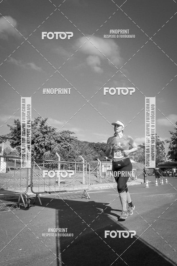 Buy your photos of the eventWolf Series - Botucatu on Fotop