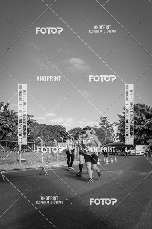 Buy your photos of the eventWolf Series - Botucatu on Fotop