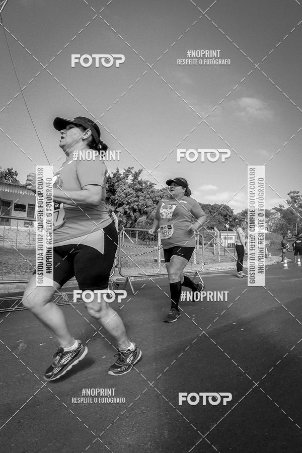 Buy your photos of the eventWolf Series - Botucatu on Fotop