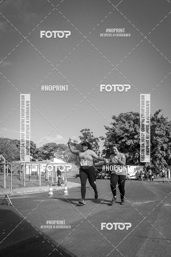 Buy your photos of the eventWolf Series - Botucatu on Fotop