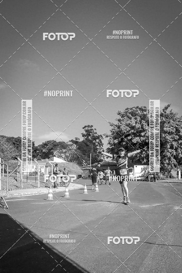 Buy your photos of the eventWolf Series - Botucatu on Fotop