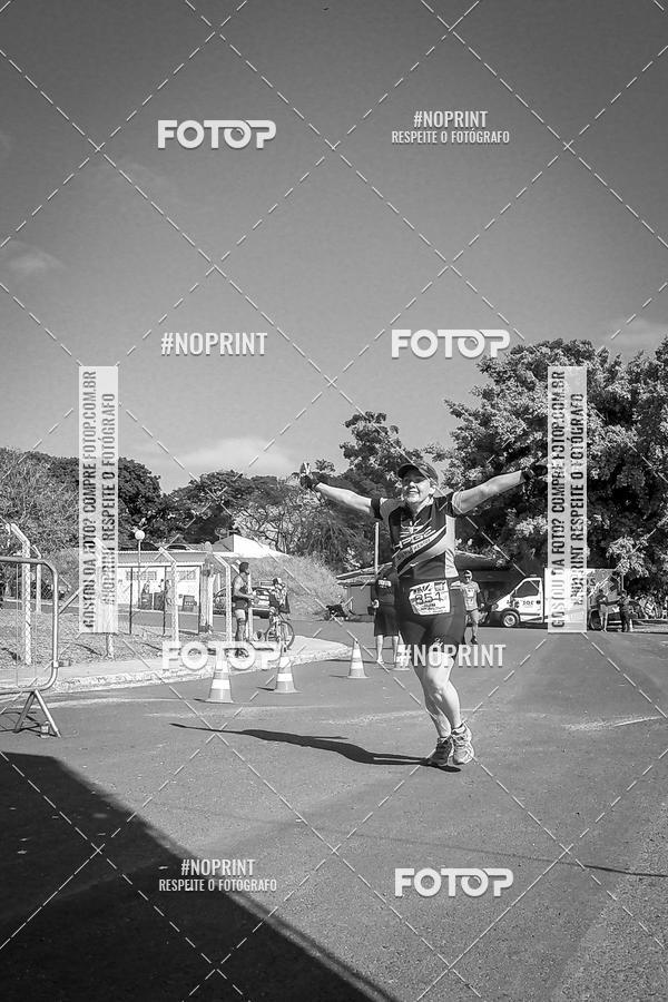 Buy your photos of the eventWolf Series - Botucatu on Fotop