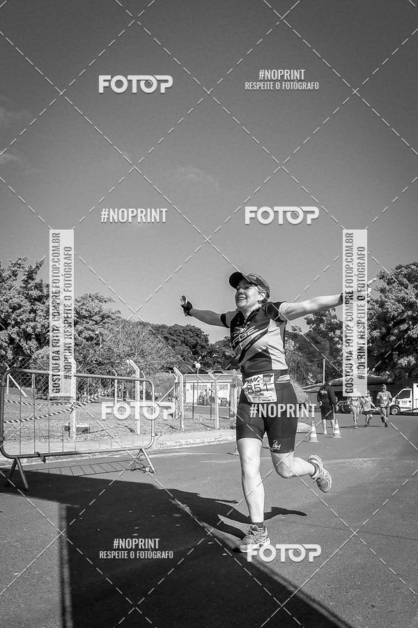 Buy your photos of the eventWolf Series - Botucatu on Fotop