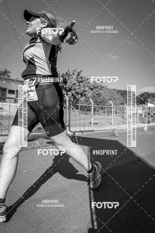 Buy your photos of the eventWolf Series - Botucatu on Fotop