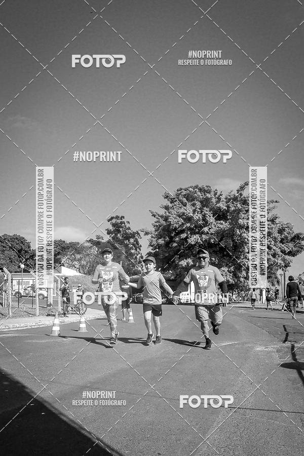 Buy your photos of the eventWolf Series - Botucatu on Fotop