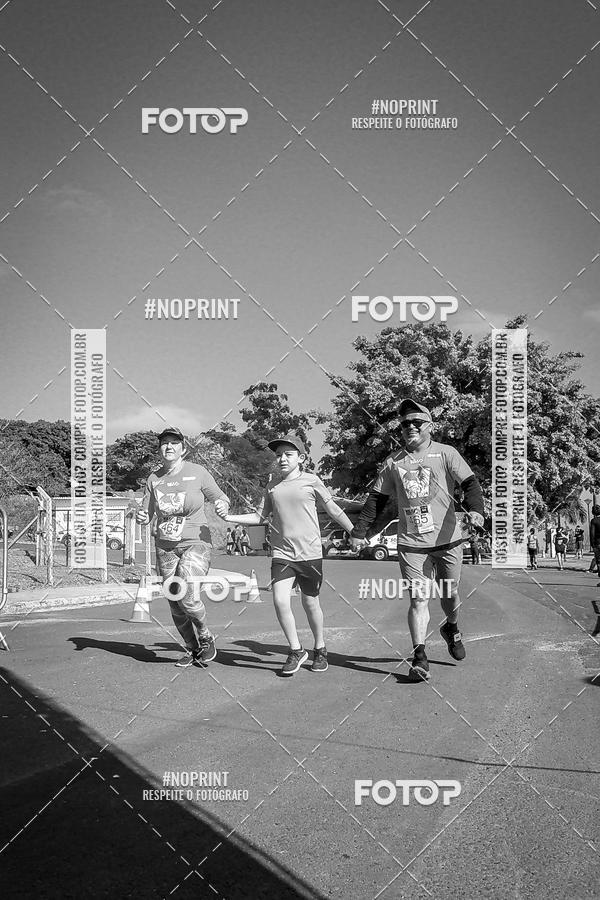 Buy your photos of the eventWolf Series - Botucatu on Fotop