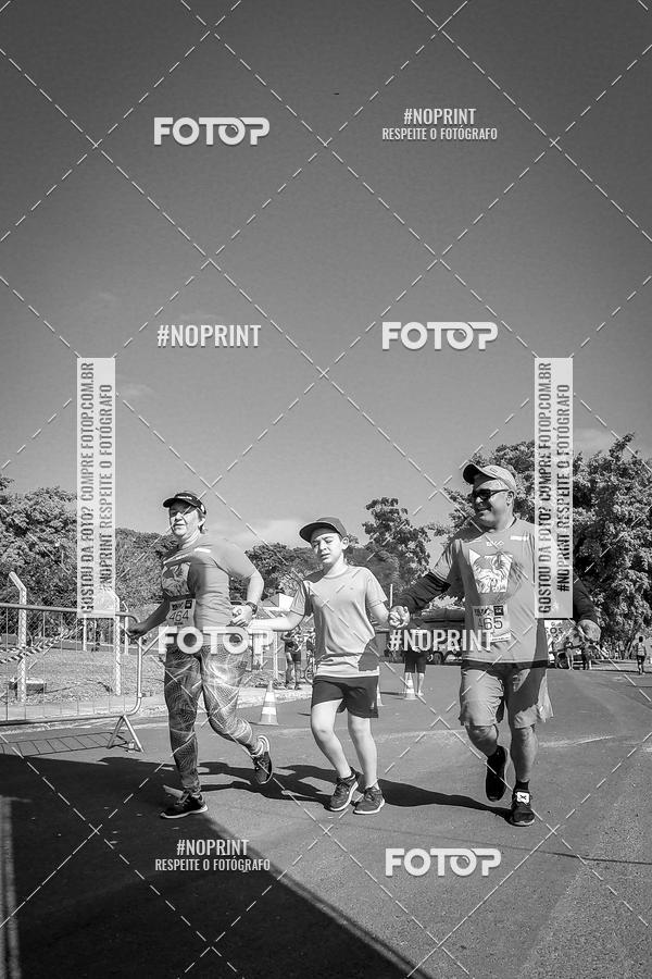 Buy your photos of the eventWolf Series - Botucatu on Fotop